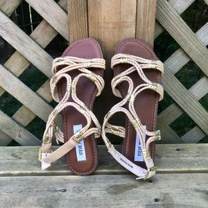 Gladiator Steve Madden Sandals Size 8